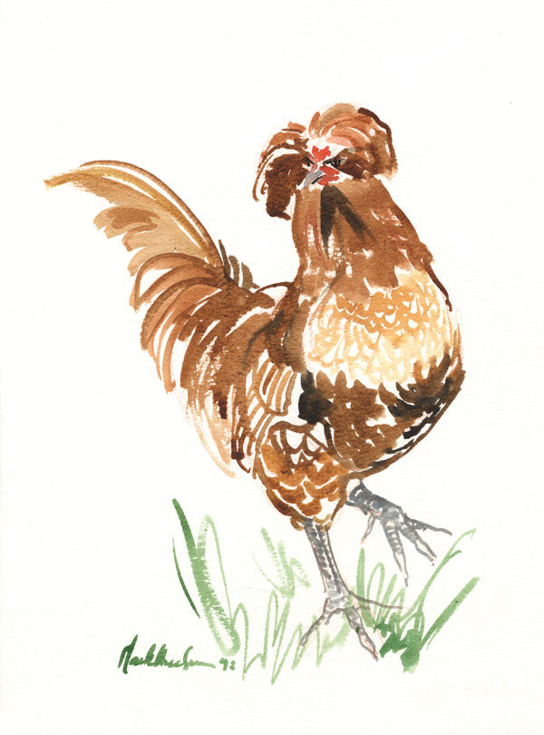 CH010 - chicken art print by Mark Huskinson